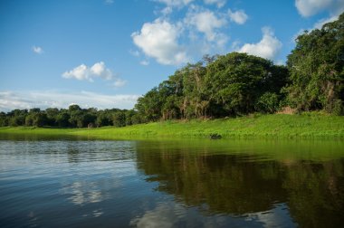 Amazon river,  Brazil clipart