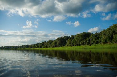 güzel Amazon nehri