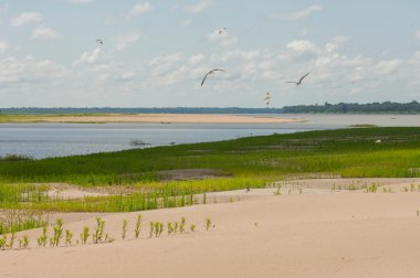 güzel Amazon nehri