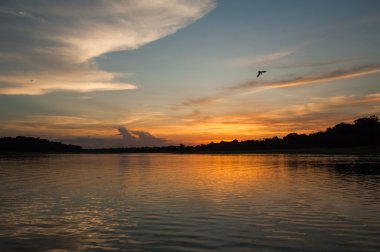  Amazon river at sunset clipart