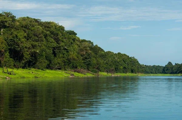 Amazon, duurzame ontwikkeling reserve — Stockfoto