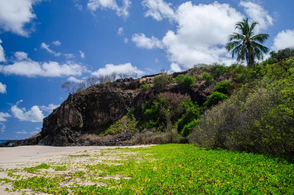 Fernando de Noronha, Brasilien — Stockfoto