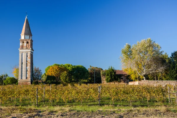 Chiesa di San Martino, Burano, Venice — Stockfoto