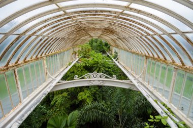 Kraliyet Kew Gardens 