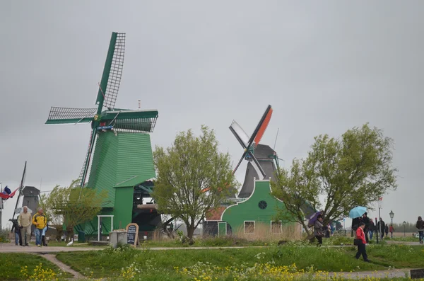 Zaanse Schans'a, Hollanda — Stok fotoğraf