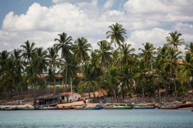Brezilya'da Jericoacoara plajda tekneler