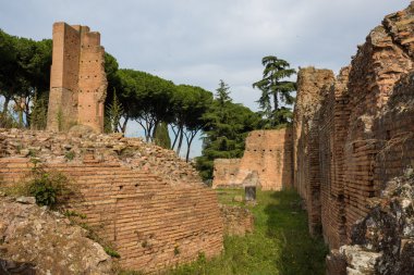 Roma forumu Roma 'da