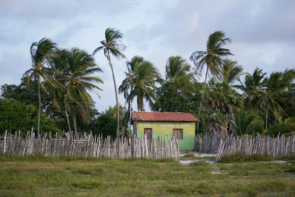 Small building and palms — Stock Photo, Image
