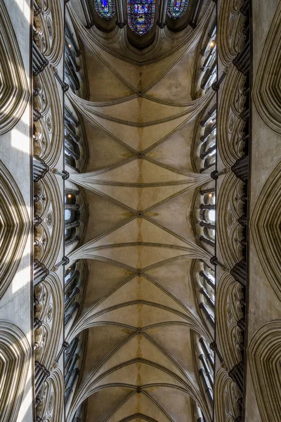 Salisbury Cathedral, England — Stockfoto