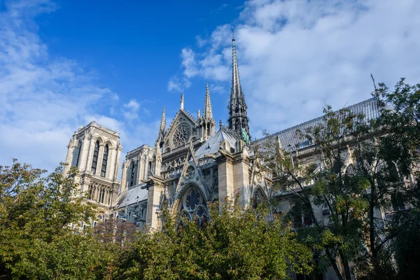 Notre Dame de Paris. Francia — Foto Stock