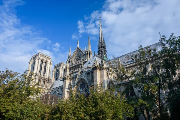 Notre dame de paris. Franciaország — Stock Fotó