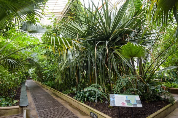 Jardines de Royal Kew — Foto de Stock