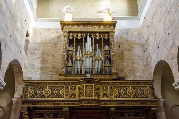 Basilikan san frediano i lucca — Stockfoto