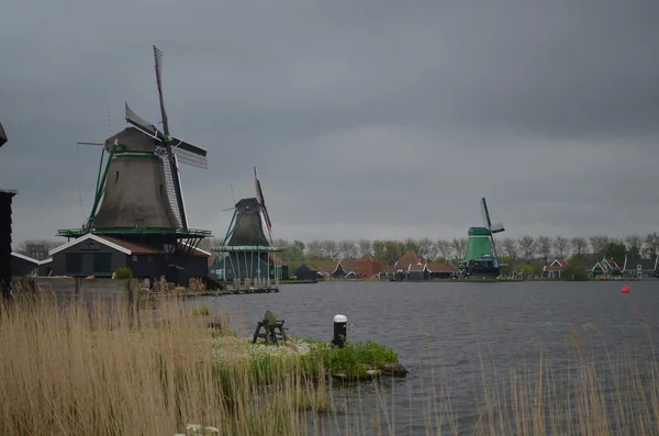 オランダ ザーンセ スカンス — ストック写真