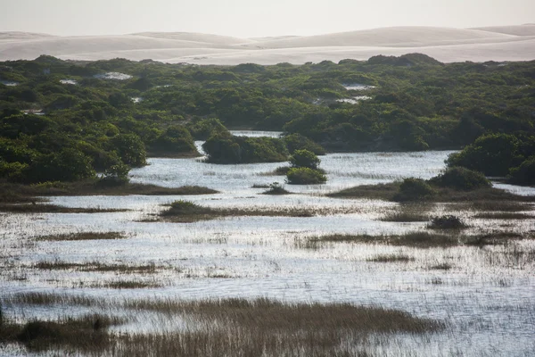 Parc national Lencois Maranhenses — Photo