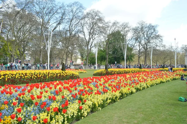 Buckingham Palace and gardens — Stock Photo, Image