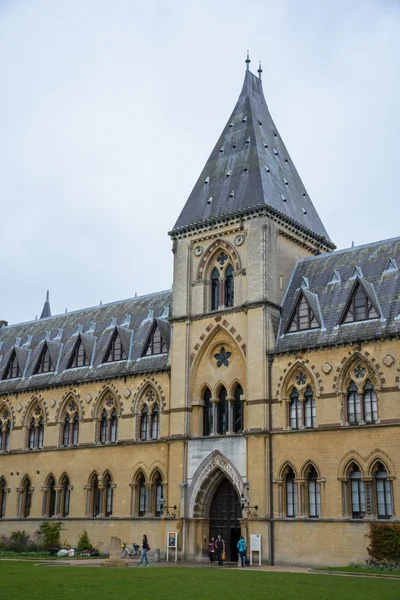 Museo de Historia Natural de la Universidad Oxford —  Fotos de Stock