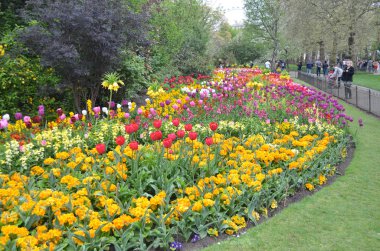 St James's Parkı Londra'nın renkli çiçekler