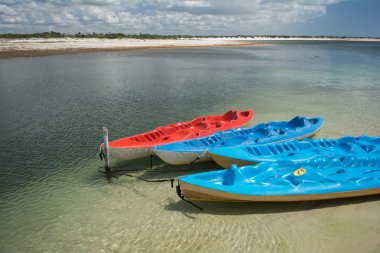 Brezilya'da Jericoacoara plajda tekneler