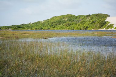 Milli Parkı, Brezilya