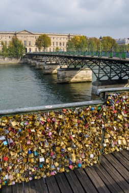 Locks of Pont Des Arts in Paris clipart