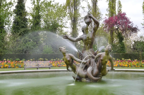 런던에서 퀸 메리의 정원 — 스톡 사진