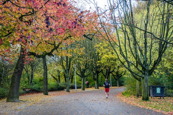 Vondel park, Amsterdam — Stock Photo, Image