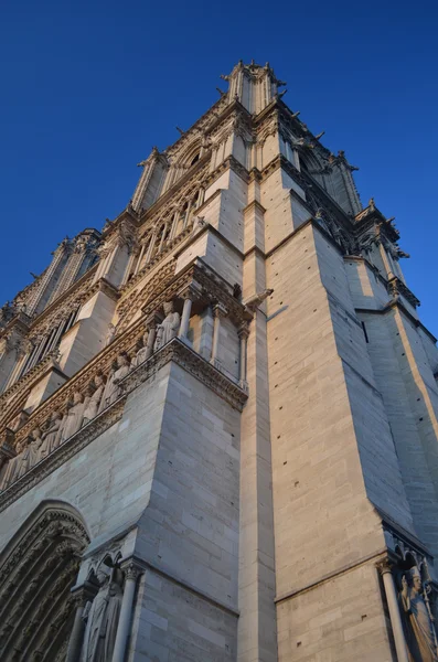 Notre dame de paris. Frankrike — Stockfoto