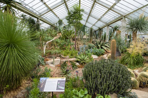 Królewskie Ogrody botaniczne w Kew — Zdjęcie stockowe