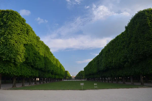 Jardim do Luxemburgo em Paris — Fotografia de Stock