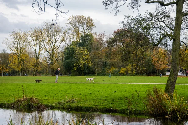 Vondel park, Amsterdã — Fotografia de Stock