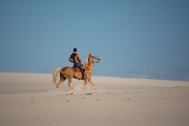 Man binicilik at, Jericoacoara