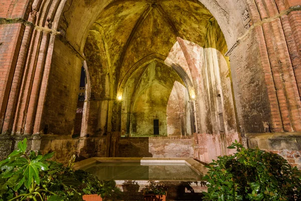 Fonte em Siena à noite — Fotografia de Stock