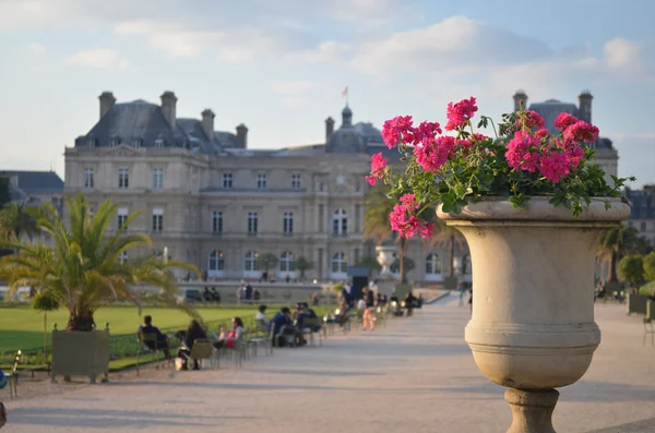 Le Palais dans les Jardins du Luxembourg — Photo