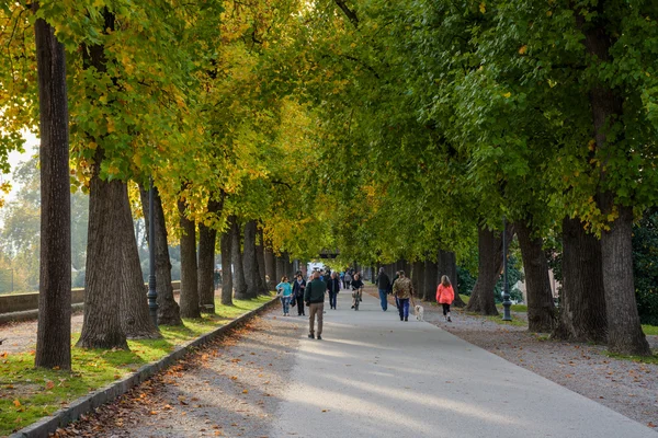 Beautiful alley in Lucca — Stock Photo, Image