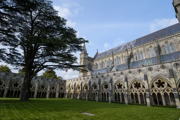 Salisbury Cathedral, Anglie — Stock fotografie