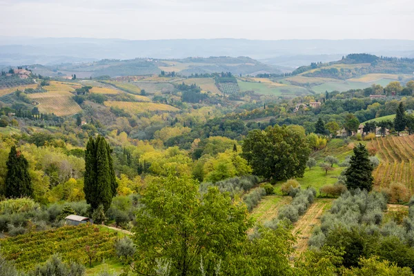Valle en Toscana, Italia — Foto de Stock