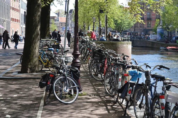 Amsterdam city street view — Stock Photo, Image