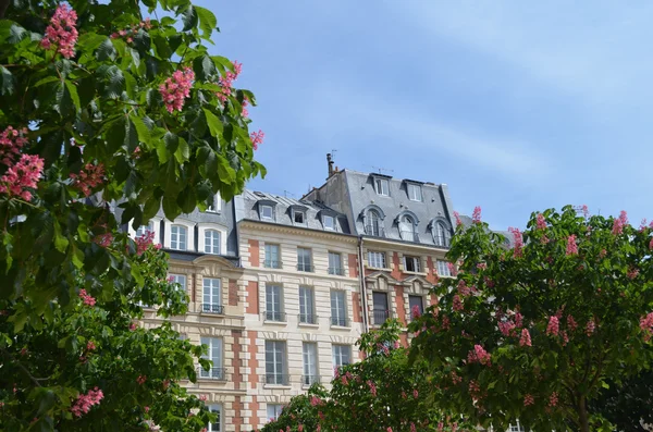 Arquitetura do edifício antigo em Paris — Fotografia de Stock