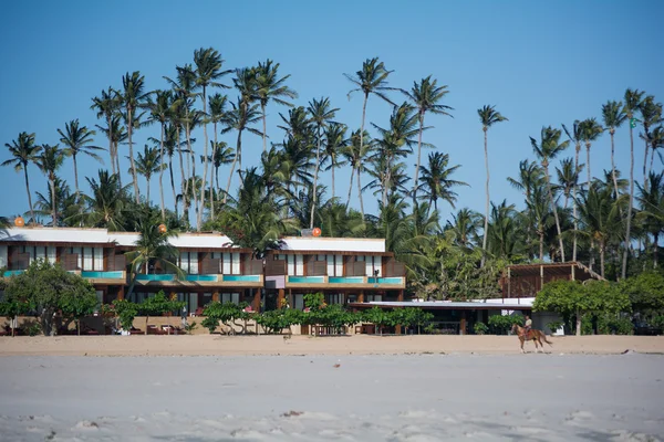 Vue sur les maisons sur la plage — Photo