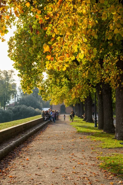 Beautiful alley in Lucca — Stock Photo, Image