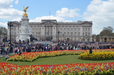 Buckingham Sarayı ve bahçeleri