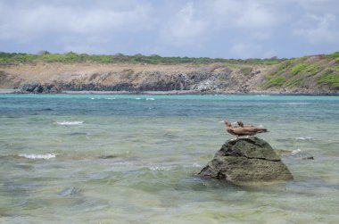 Fernando de Noronha, Pernambuco 