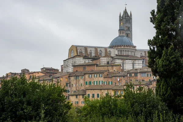 Duomo di siena, stadt siena — Stockfoto