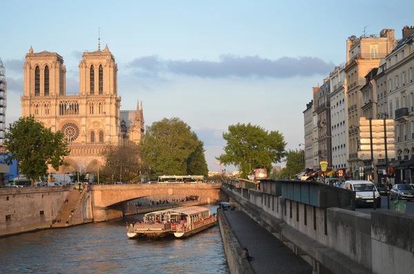 Cattedrale di Notre Dame de Paris, Parigi — Foto Stock