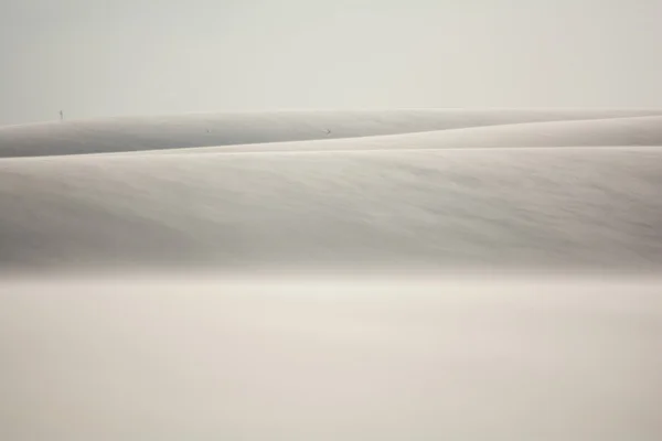 Parque Nacional, Brasil Imagen De Stock