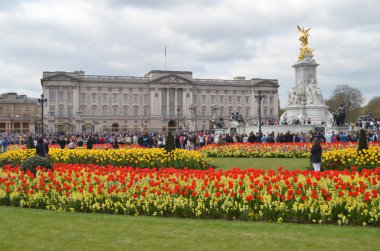 Buckingham Sarayı ve bahçeleri