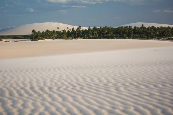 Playa de Jericoacoara, Brasil — Foto de Stock