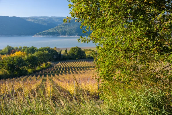 Corbara lake, Italien — Stockfoto