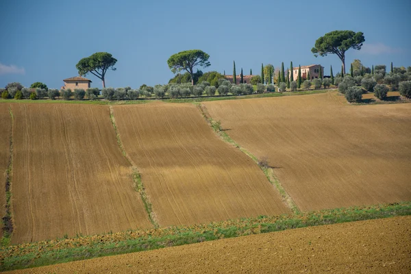 Красивий краєвид Тоскана — стокове фото